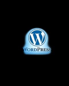 BEST DIGITAL MARKETER IN KANNUR